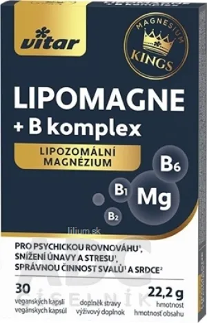 VITAR KINGS LIPOMAGNE + B komplex