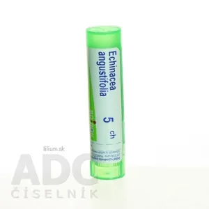 ECHINACEA ANGUSTIFOLIA