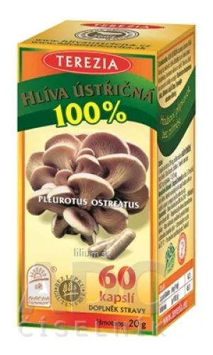 TEREZIA HLIVA USTRICOVITÁ