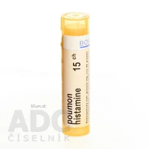 POUMON HISTAMINE