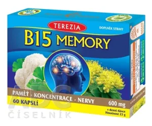 TEREZIA B15 MEMORY