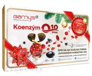 Barny's KOENZÝM Q10 DUAL 60 mg