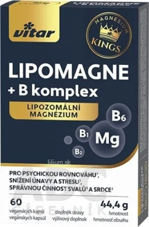 VITAR KINGS LIPOMAGNE + B komplex