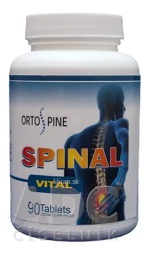 SPINAL VITAL