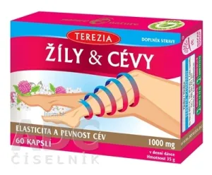 TEREZIA ŽILY & CIEVY