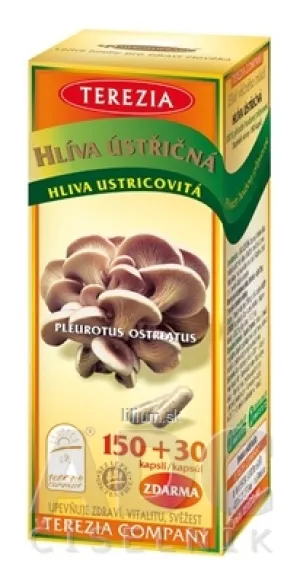 TEREZIA HLIVA USTRICOVITÁ