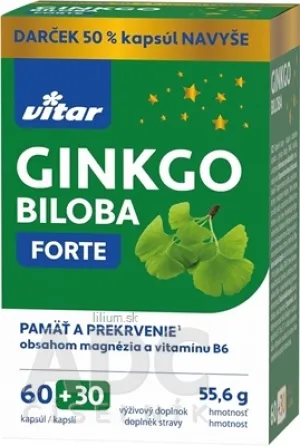 VITAR GINKGO BILOBA FORTE