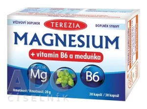 TEREZIA MAGNESIUM + vitamin B6 a meduňka