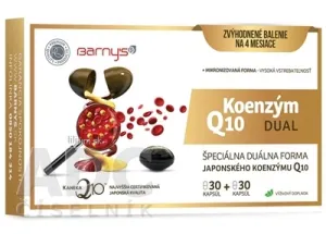 Barny's KOENZÝM Q10 DUAL 60 mg