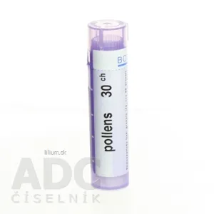 POLLENS