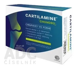 CARTILAMINE CHONDRO