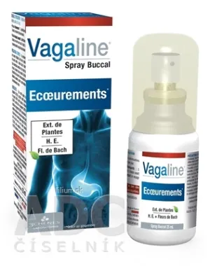 3CHENES Vagaline Spray Buccal
